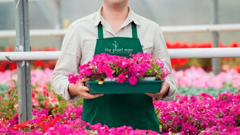 The Plant Man