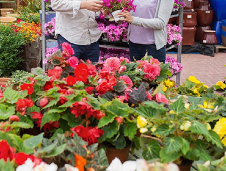 Garden Centre