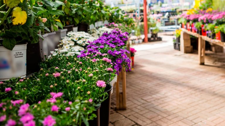 Garden Centre