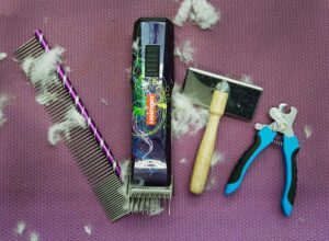 dog grooming tools 300x220