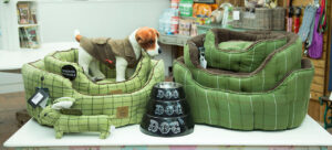 pet beds and accessories 300x136