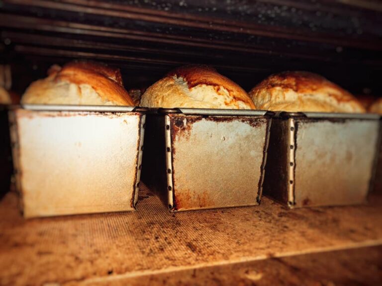 167905422 3834667826627196 679988520221170296 n 768x576