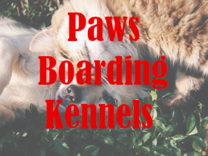 Paws Boarding Kennels post 300x225