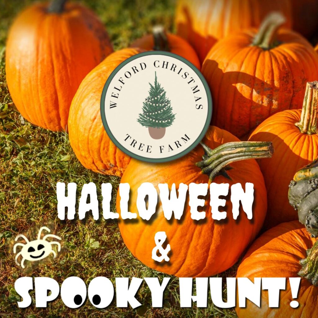 456509090 1309537110203790 3465216180625402124 n 1024x1024