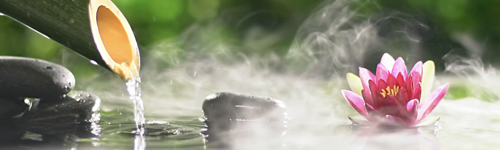 User banner image